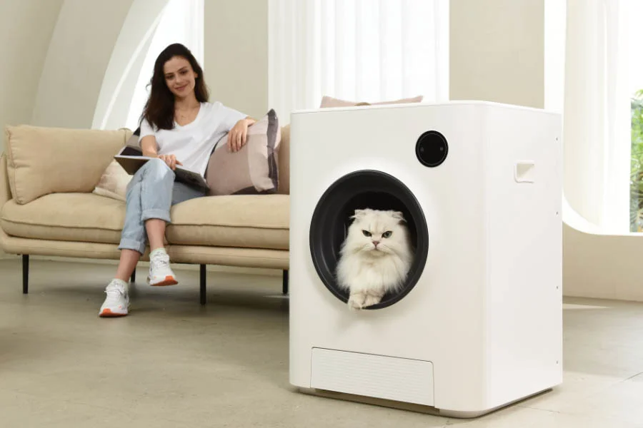 scoopfree litterbox